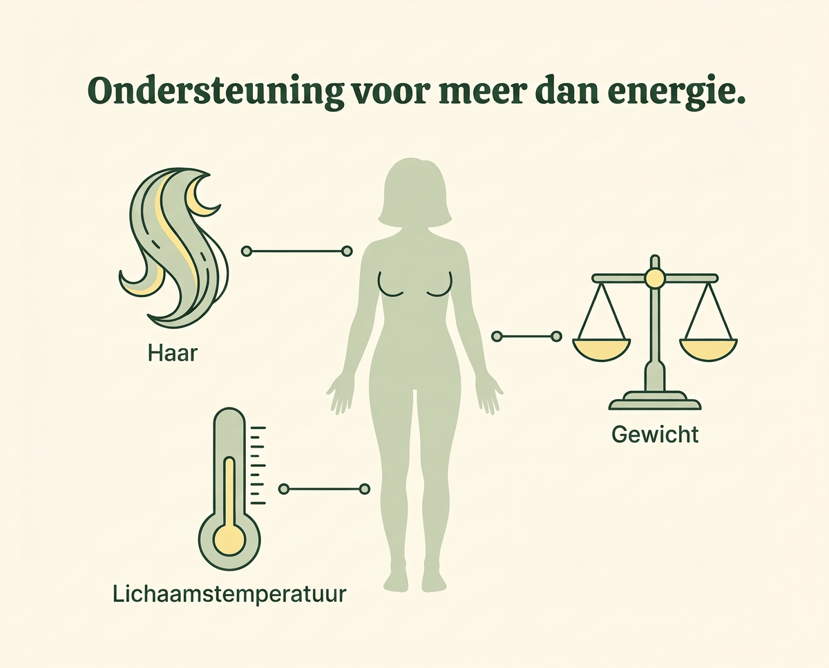 Ondersteunt je haar, gewicht en lichaamstemperatuur.