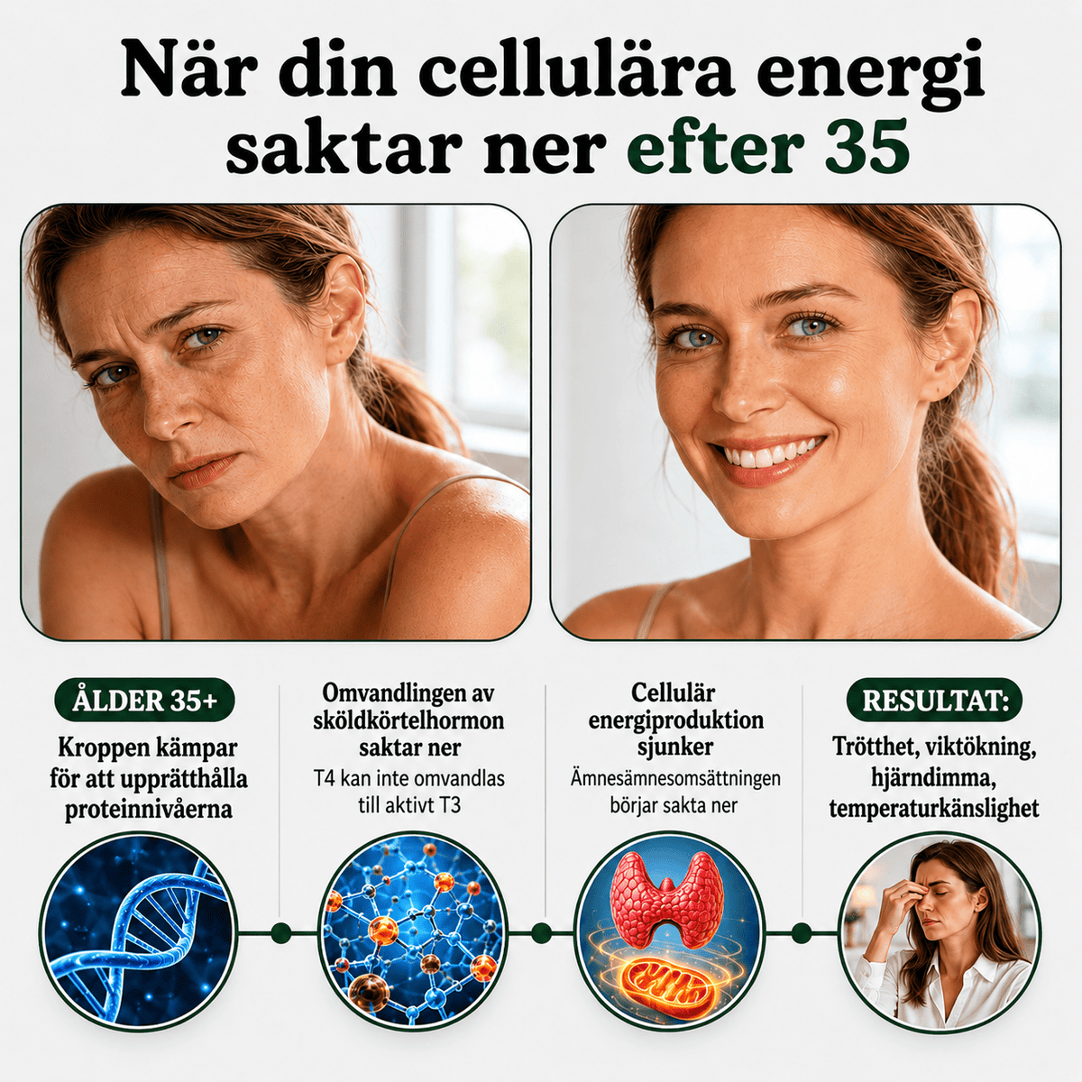Smart Protein Blend